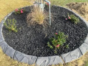 Sod installation oasis