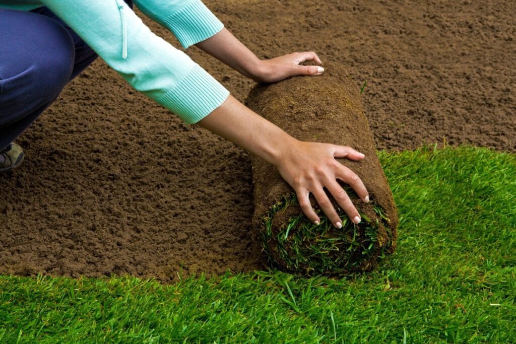 Get a lush, green lawn fast with expert sod installation in Foley, AL. Oasis Irrigation delivers clean, even turf with quick turnaround. Book today!