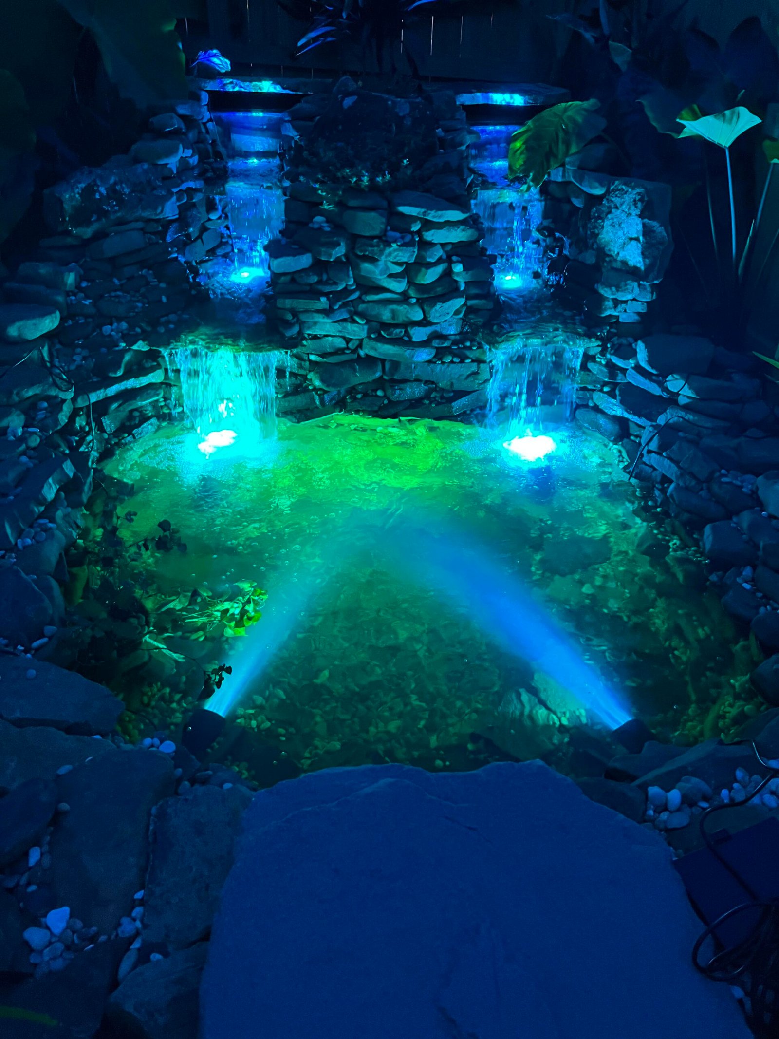 Beautifully illuminated backyard after outdoor lighting installation