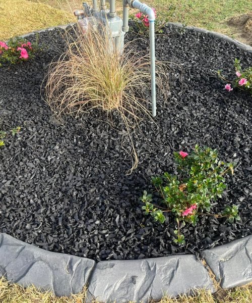 Sod installation oasis